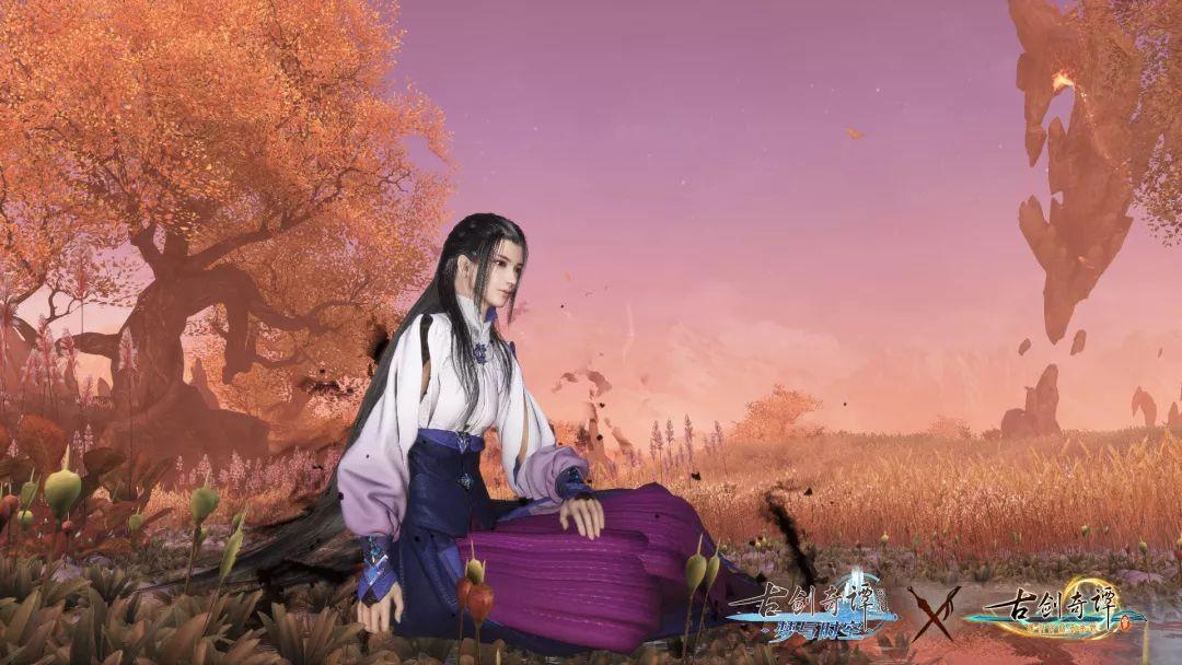 世纪之案