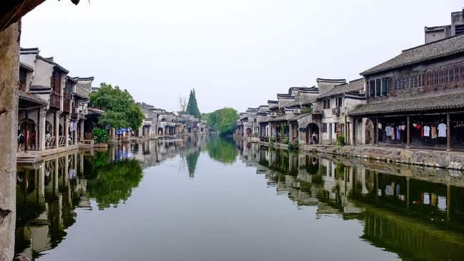 逃离仿真森林